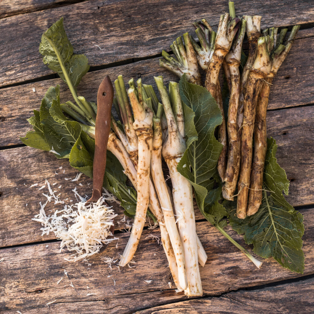 Best Ideas for Using Extra Spicy Horseradish | Atomic Horseradish